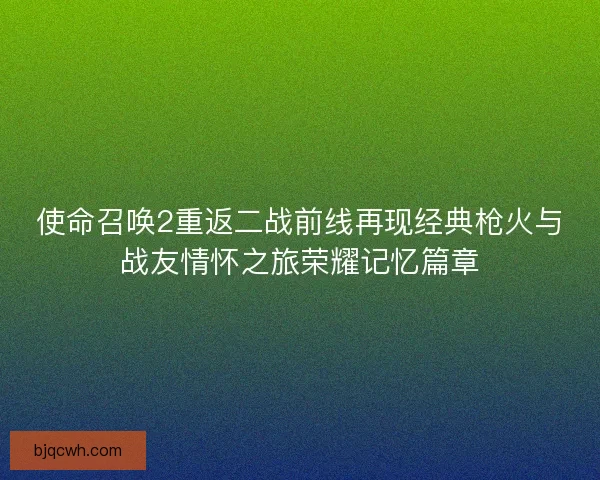 使命召唤2重返二战前线再现经典枪火与战友情怀之旅荣耀记忆篇章 使命召唤2重返二战前线再现经典枪火与战友情怀之旅荣耀记忆篇章