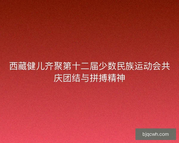 西藏健儿齐聚第十二届少数民族运动会共庆团结与拼搏精神
